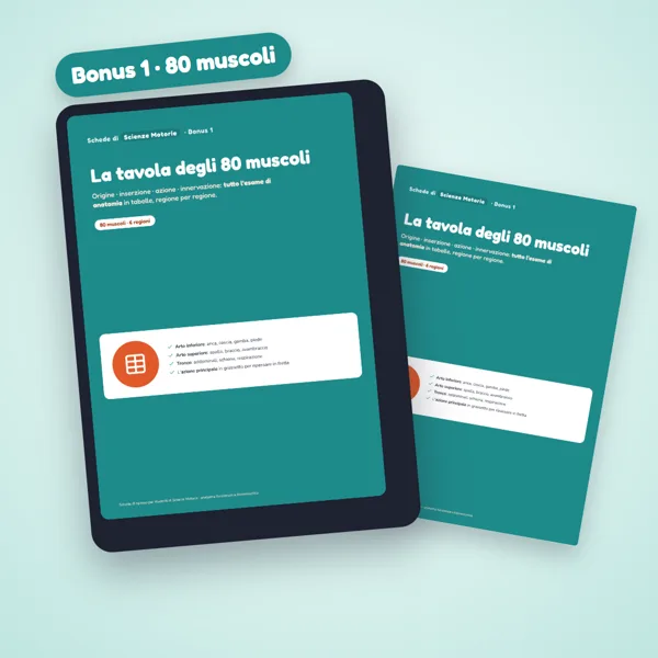 Bonus La tavola degli 80 muscoli